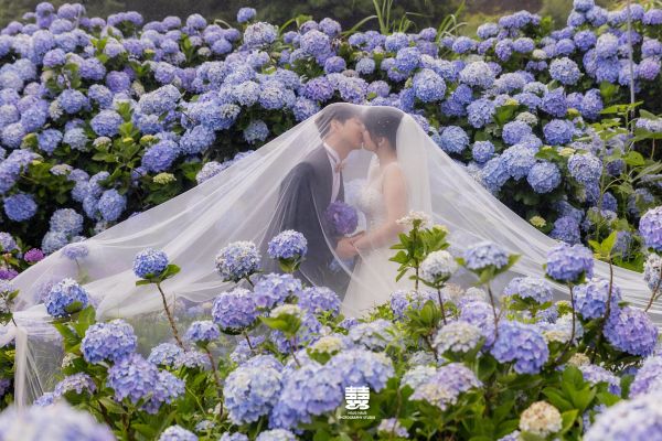 海外來台拍婚紗攻略｜季節、風格、景點與行程一次看